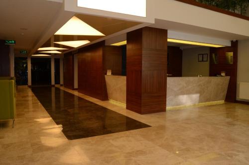 Norton Hotel - image 8
