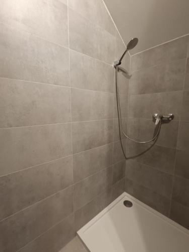 Włostowicka Ostoja Apartament