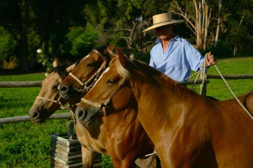 Hacienda Santa Cristina