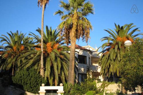 Apartments Villa Domus Marini - image 14