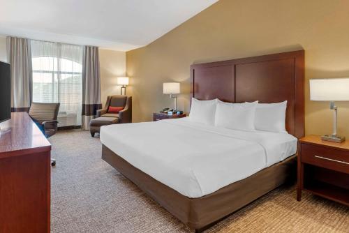 Comfort Inn - image 12