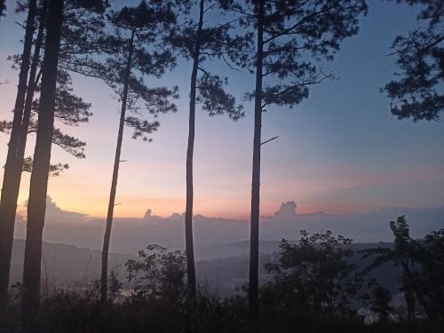 Homestay Nhà Ven Rừng