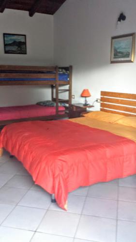 1 queen bed, 2 bunk beds