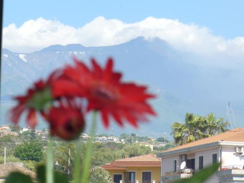  Villa Sciare Modò in Acireale
