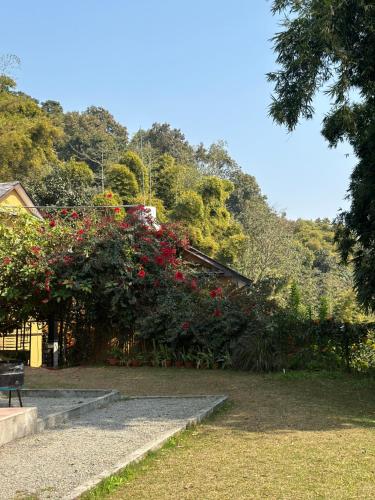 Hotel Tourist Residency And Homeland Forest Villa – Pokhara, FL