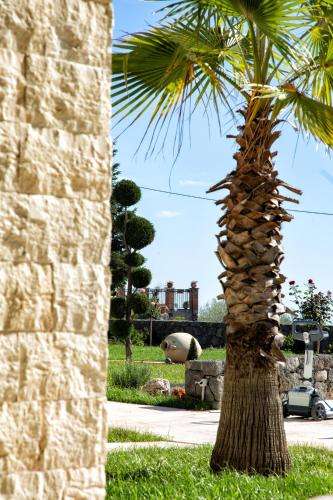 Villa Rita Pool & Spa - Accommodation - Mascalucia