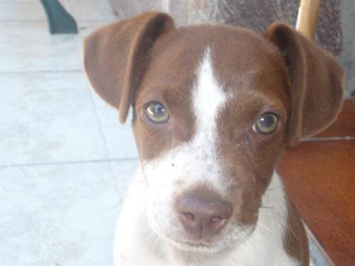 Su Trabi-Turismo Rurale in Sardegna