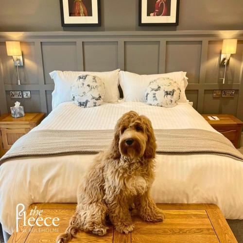 The Fleece at Ruleholme - image 8