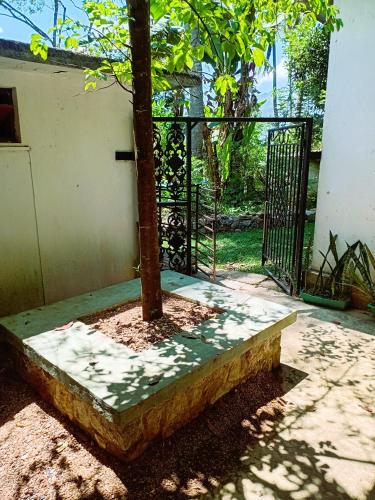 Cool spring, Badulla (zdjęcie 6)