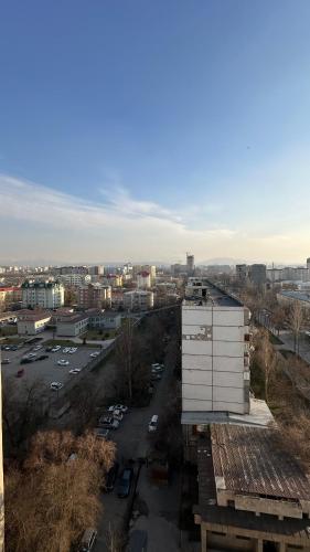 Comfortable flat in center, Bichkek (photo 9)