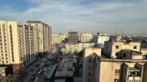 Comfortable flat in center, Bichkek (photo 7)