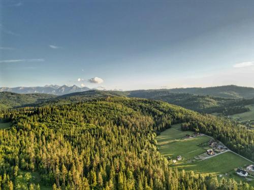 LK Forest Villa luksusowe domy z basenem z jacuzzi, sauną, grotą solną, salą bilardową i ogrodem