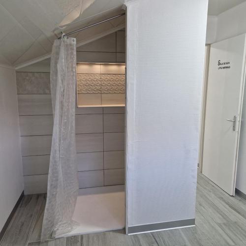 Zuhanyzó, Appartement Elielo in Raon-l'Etape