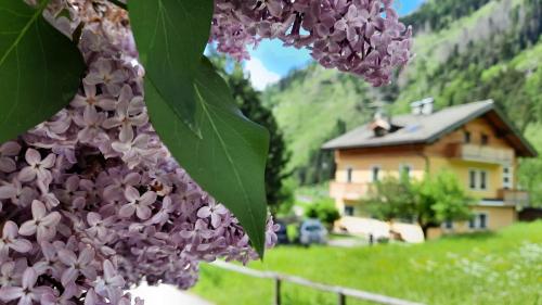  B&BeautyFol Dolomites B&B adults only in Predazzo