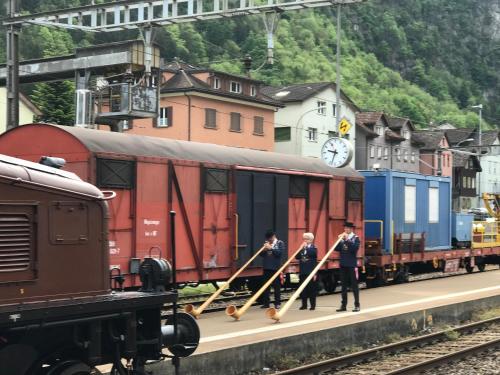 Bližnja okolica, Beautiful apartment in the center of Switzerland in Erstfeld