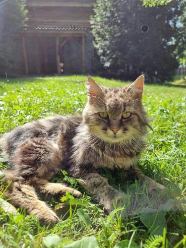 Viewtopia The Secret Land Viewtopia The Secret Land