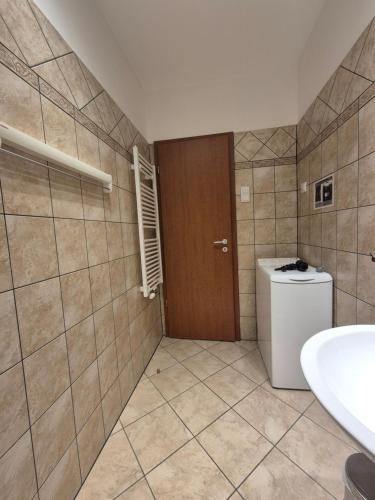 One-Bedroom Apartment image 8