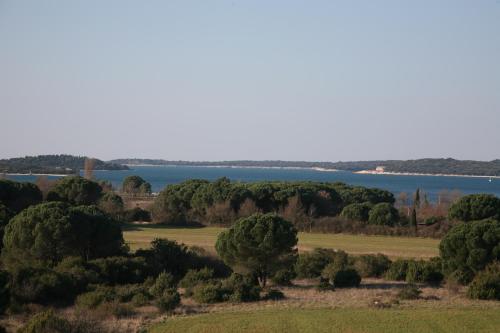 Vila in Lavanda - image 2
