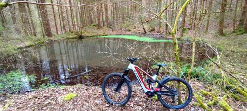 Ferienwohnung Hecht - Biketrail Fun & Relaxing - Tap to explore photos