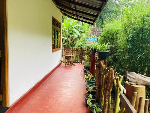 Sinharaja Pitadeniya Villa in Deniyaya