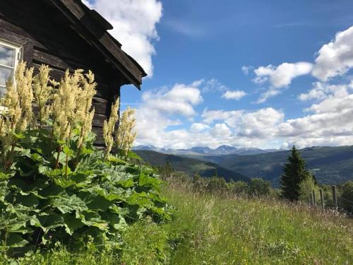 Charming lodge from 1888 in Otta