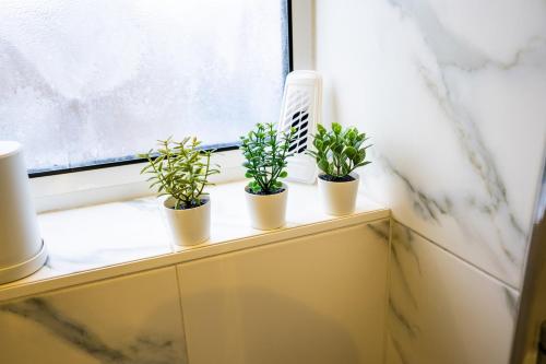 2 Bed Flat - Sleeps 6 - Parking - Wifi, Londra (foto 10)