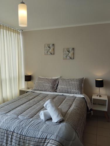 Departamento Estudio Lucerna