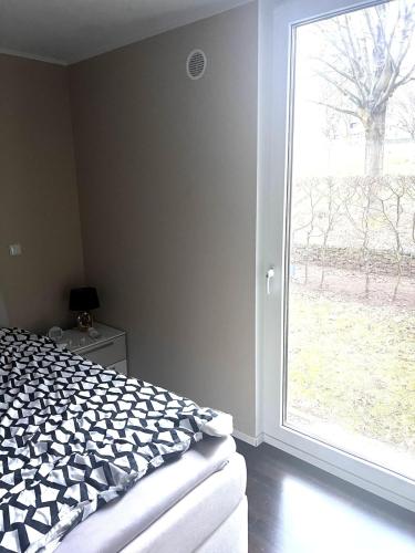 Riedberg Max Riedberg Max