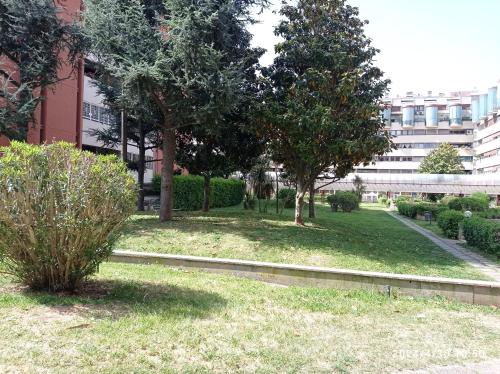 Alloggio per uso Turistico Falcocchio Massimo