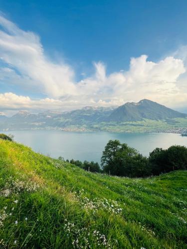 ทัศนียภาพ, Gartenoase by Greatlifestay in เอนเนทบึร์เกน