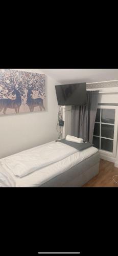 Lindis Hotel, Curych (fotografie 7)