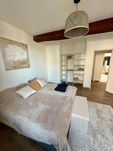 Duplex Art & Détente Centre ville, Auxerre (Foto 10)