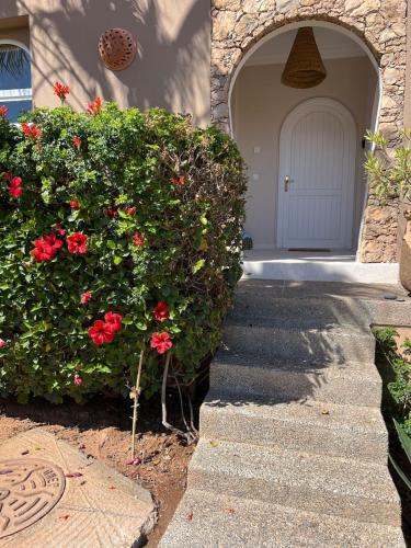 Villa avec vues sur dunes, montagnes et ocean! Acces plage direct! Proche SIDI BOULFDAIL et AGLOU in Mirhleft