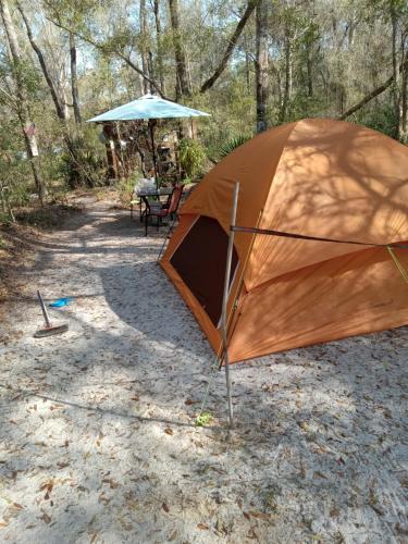 Skyacres in ชิฟแลนด์ (FL)