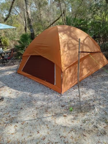 Skyacres in ชิฟแลนด์ (FL)