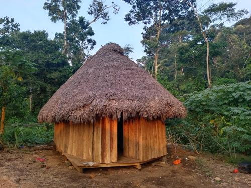 Selva Lodge in Canelos