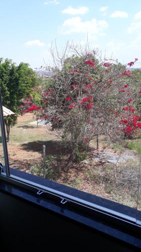 Palácio do Príncipe (Palacio do Principe) in แซร์ฮา โด ซิโป