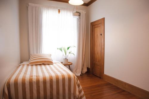 Pohutukawa Tides - Walk to Beach, Large Fenced Section