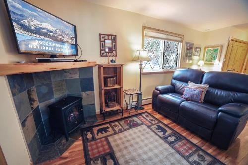 Fawn Valley Inn- 235 condo image