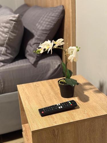 Hostelfc Santa Barbara