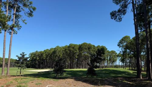 Igralište za golf (uz hotel), Pine Heaven in otok Hope 