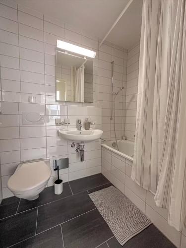 Central Studio Apartment with free BaselCard - Picasso, Basilea (foto 5)
