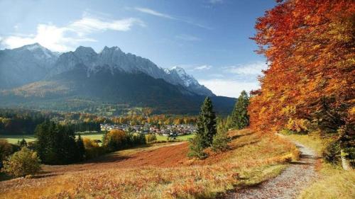 Alpenhof Grainau - image 3
