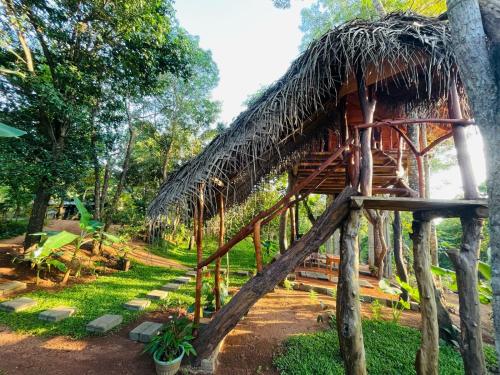 Green Land Tree House Sigiriya - image 4