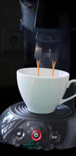 餐飲選擇, Gemütliche Auszeit zu Zweit im Rothauser Land (Gemutliche Auszeit zu Zweit im Rothauser Land) in 格拉芬豪森