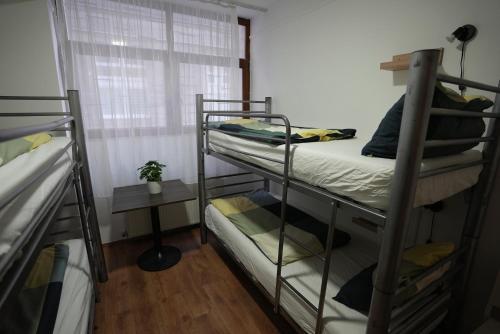 Center Hostel and Guest House - image 7