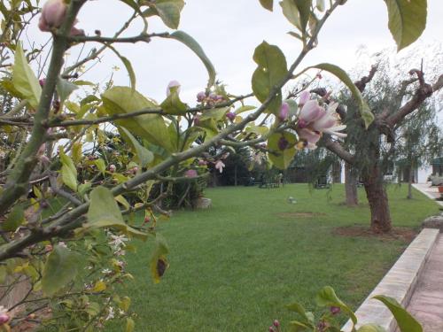 B&B Donna Luisa – Monopoli, LA