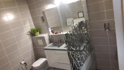 Suite place de l'Etoile, Страсбург (фото 8)