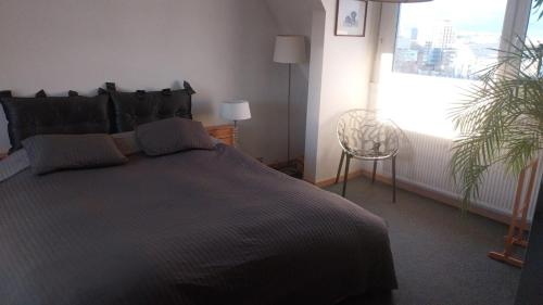 Suite place de l'Etoile, Strasbourg (photo 8)
