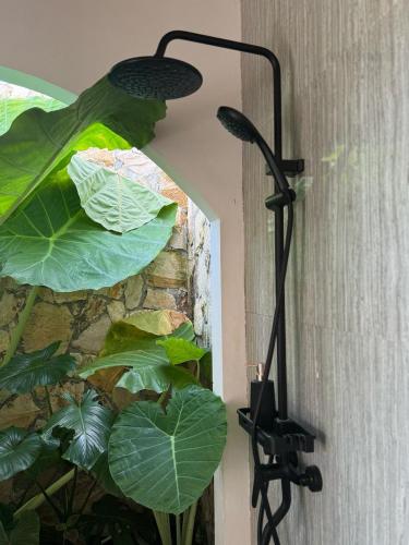 Villa Neka in กังกา